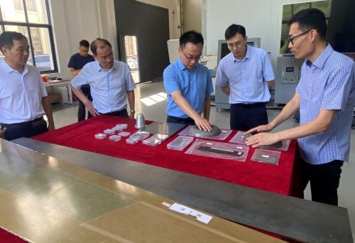 寧波市經濟與信息化局局長王懿棟帶隊蒞臨視察指導